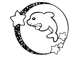 海豚