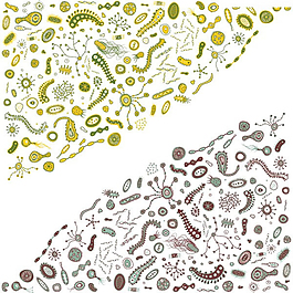 手繪微生物矢量素材