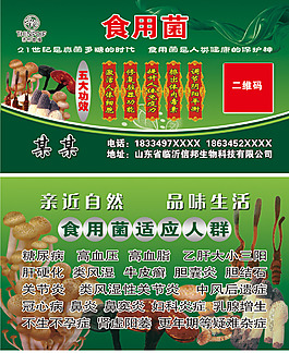 信邦迪福食用菌名片模板
