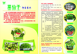 陽臺(tái)農(nóng)業(yè)