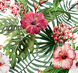 紅色朱槿花矢量素材