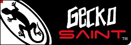 壁虎個性LOGO元素設計矢量