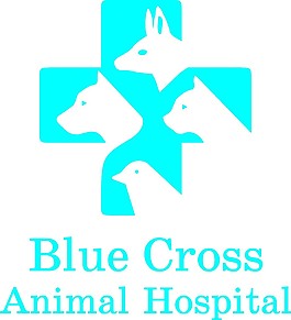 國外動物個性LOGO元素設計矢量素材