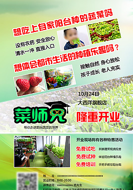 陽臺蔬菜社區店推廣海報