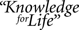 時尚個性LOGO元素設計矢量素材