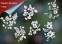 漂亮的鮮花、花朵圖案Photoshop花紋筆刷