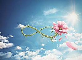 藍色天空清新花朵背景圖