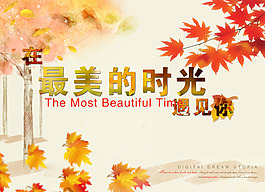 最美的時(shí)光