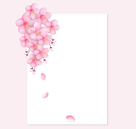 樱花装饰白色纸张