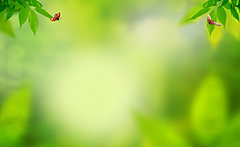 綠色背景素材PSD