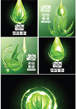 綠色蘆薈