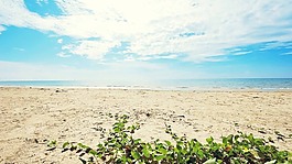 夏季清新海邊沙灘大圖