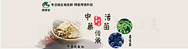 通屏海報沉穩莊重中藥發酵 微生物預混劑