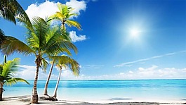 清新夏季海邊沙灘椰子樹(shù)