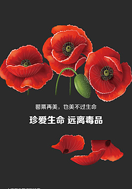 禁毒2