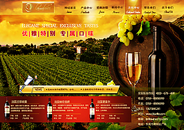 葡萄酒網(wǎng)站