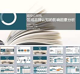 市場分析通用型PPT模板