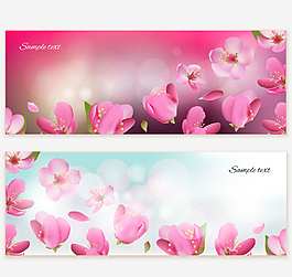 櫻花banner矢量素材