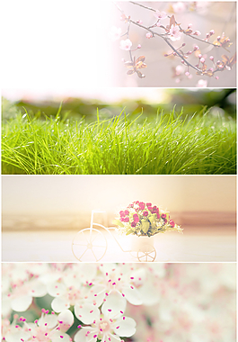 唯美花卉全屏背景