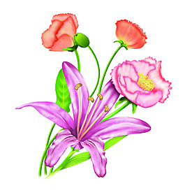 PS手绘浪漫百合花