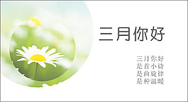 三月明信片