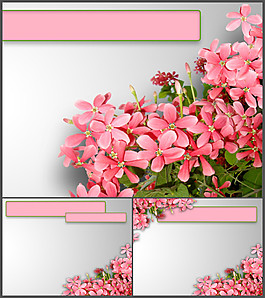粉色漂亮花朵背景PPT模板