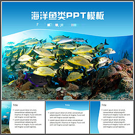 海洋魚(yú)類(lèi)PPT模板