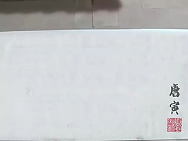 插笔门