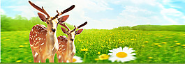 梅花鹿banner