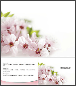 梅花背景PPT模板