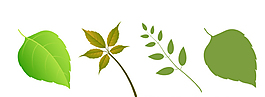 綠色矢量葉子素材