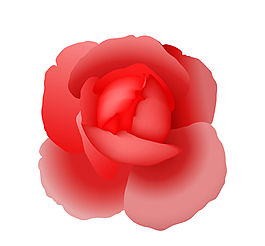 紅色玫瑰花素材