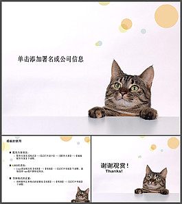 可愛貓咪背景PPT模板