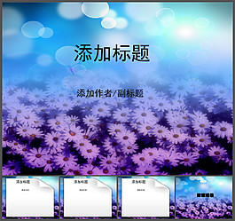 夢幻菊花背景PPT模板