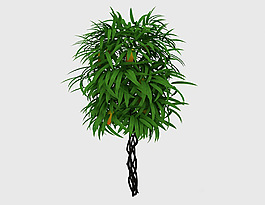 藤蔓裝飾植物3d模型下載