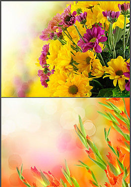 簇?fù)淼孽r花背景精美PPT模板