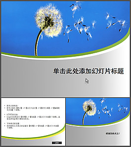 風(fēng)中的蒲公英漂亮PPT模板