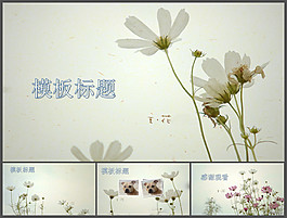 清新花朵背景模板下載