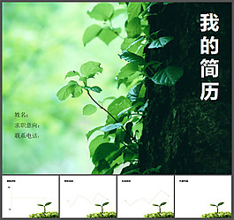 我的簡(jiǎn)歷PPT模板