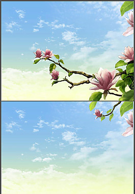 優(yōu)雅樹枝花朵背景PPT模板