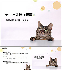 可愛小貓貓咪幻燈片模板