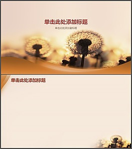 飛舞的蒲公英PPT背景圖片