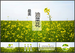 油菜花开春到来最美油菜花ppt模板