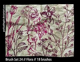 漂亮的手繪式涂鴉花紋筆刷