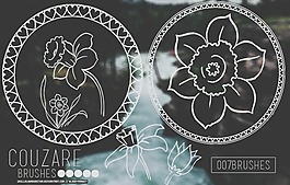 漂亮的手繪羅盤花紋圖案Photoshop花紋筆刷