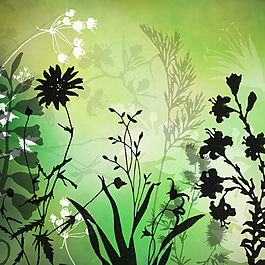 23種免費的植物花紋圖案Photoshop筆刷下載