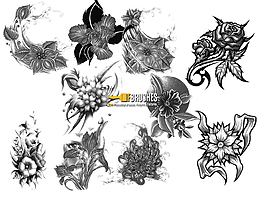 手繪素描式花朵、鮮花圖案PS筆刷下載