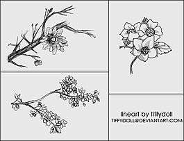 樹枝上的花朵Photoshop筆刷下載