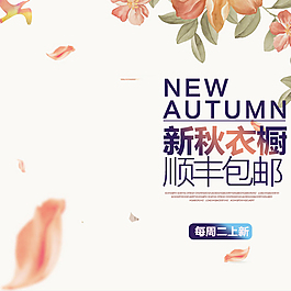 秋季手繪花朵主圖直通車(chē)圖背景