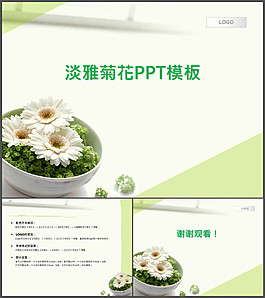 淡雅菊花